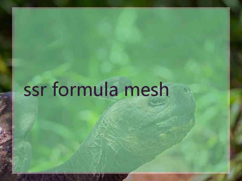 ssr formula mesh
