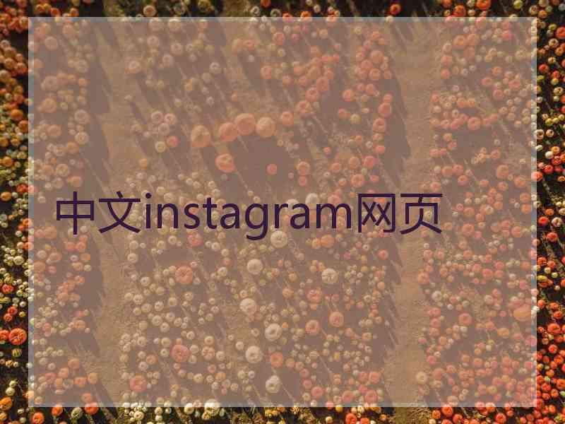 中文instagram网页