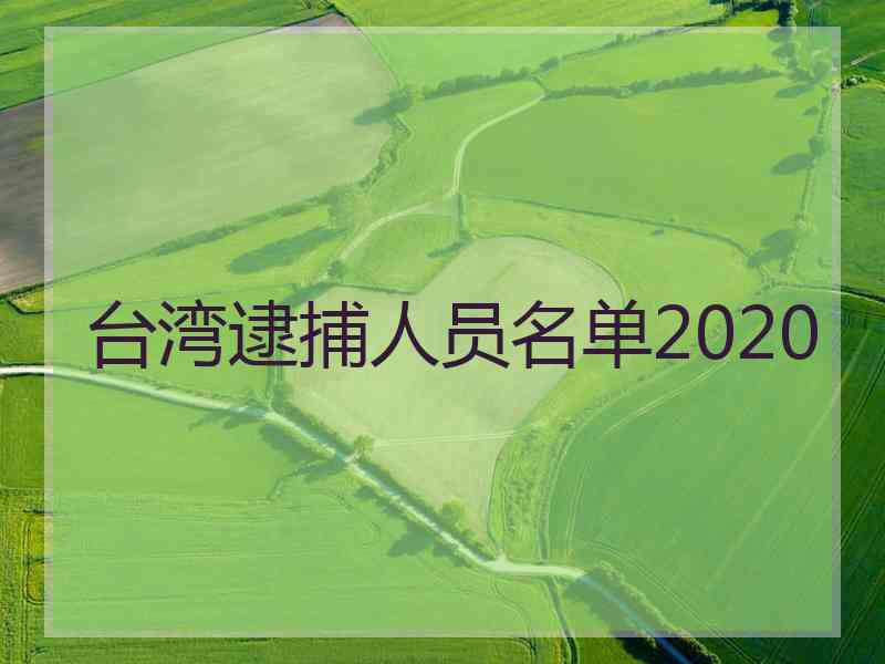台湾逮捕人员名单2020
