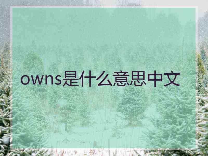 owns是什么意思中文