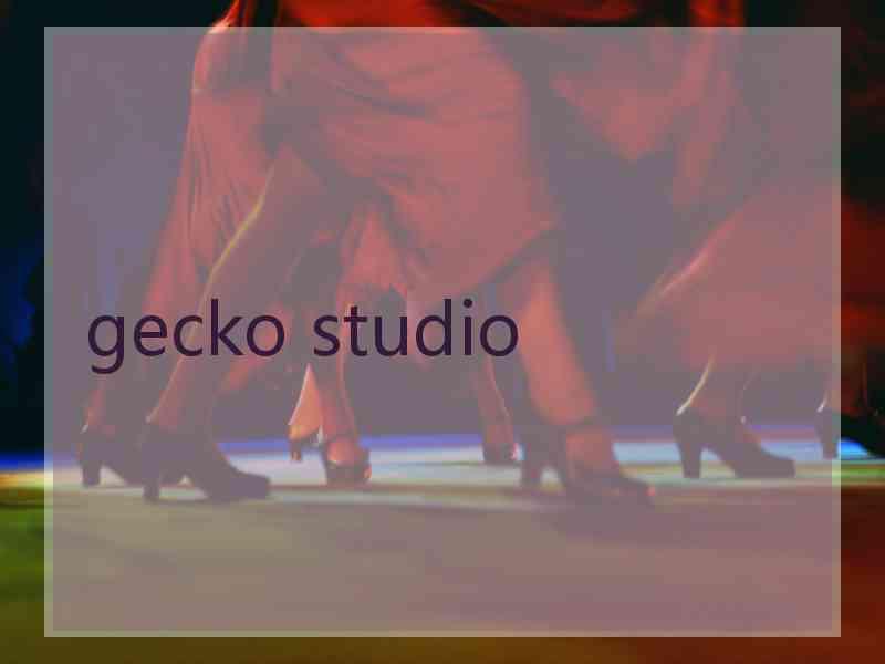 gecko studio