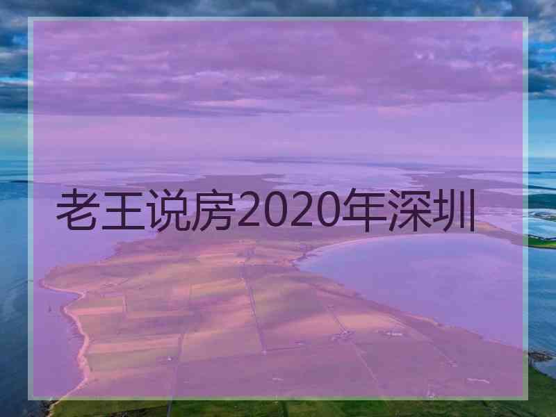 老王说房2020年深圳