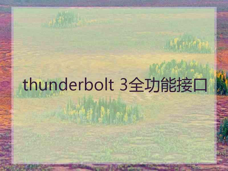 thunderbolt 3全功能接口
