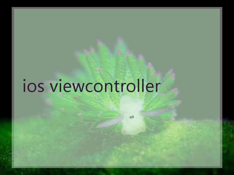ios viewcontroller