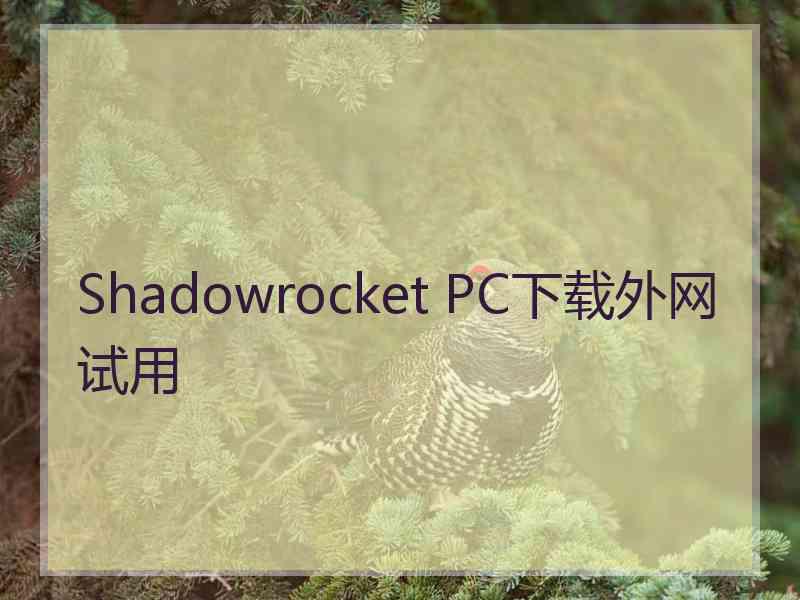 Shadowrocket PC下载外网试用