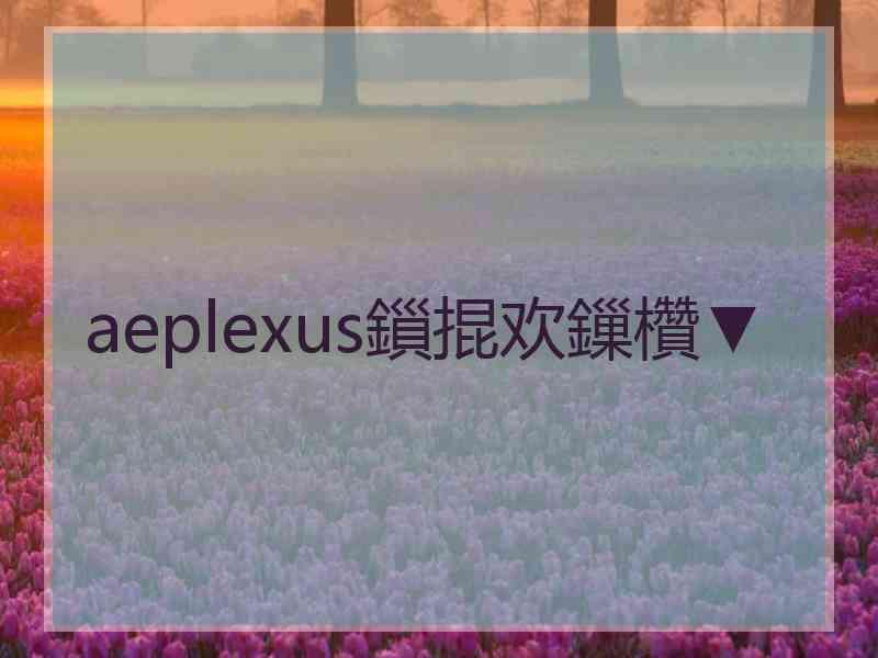 aeplexus鎻掍欢鏁欑▼