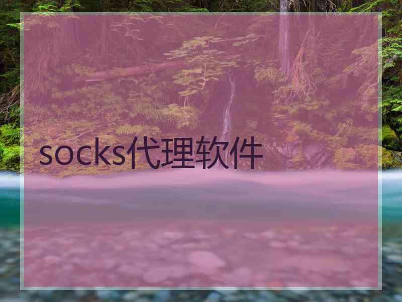 socks代理软件
