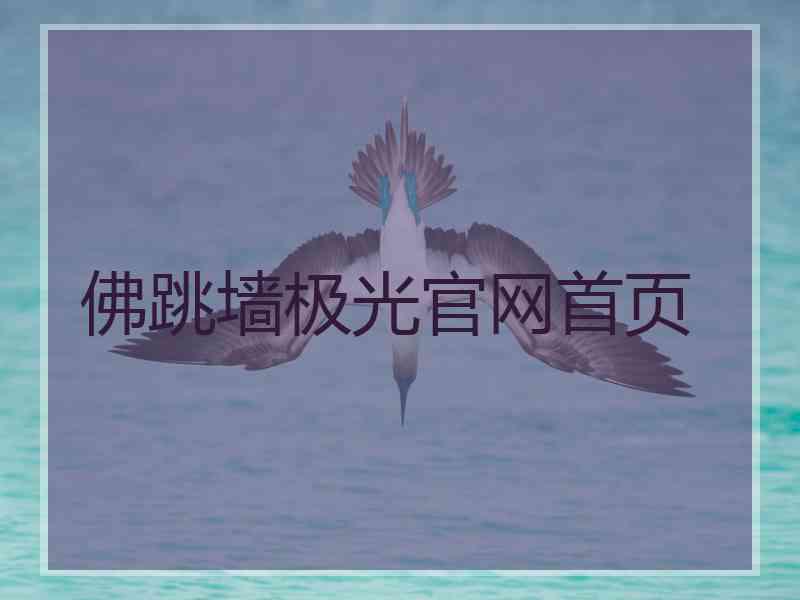 佛跳墙极光官网首页