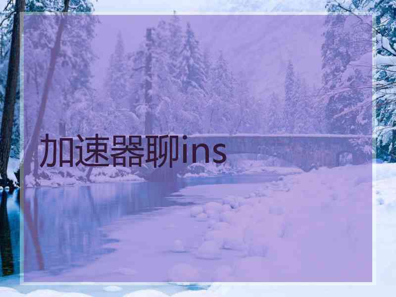 加速器聊ins