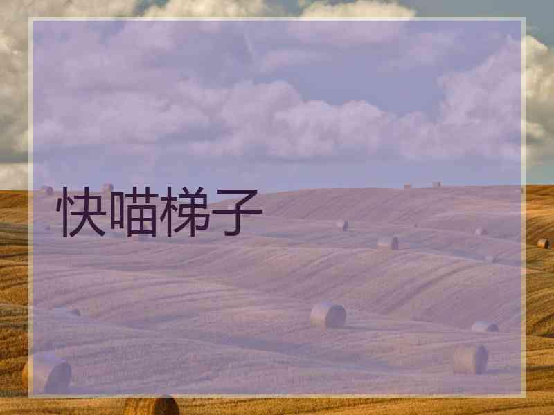 快喵梯子