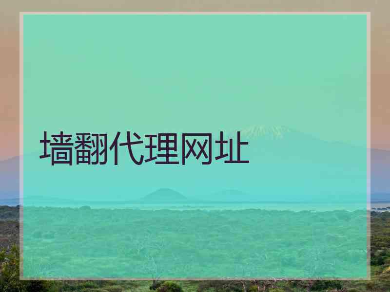 墙翻代理网址