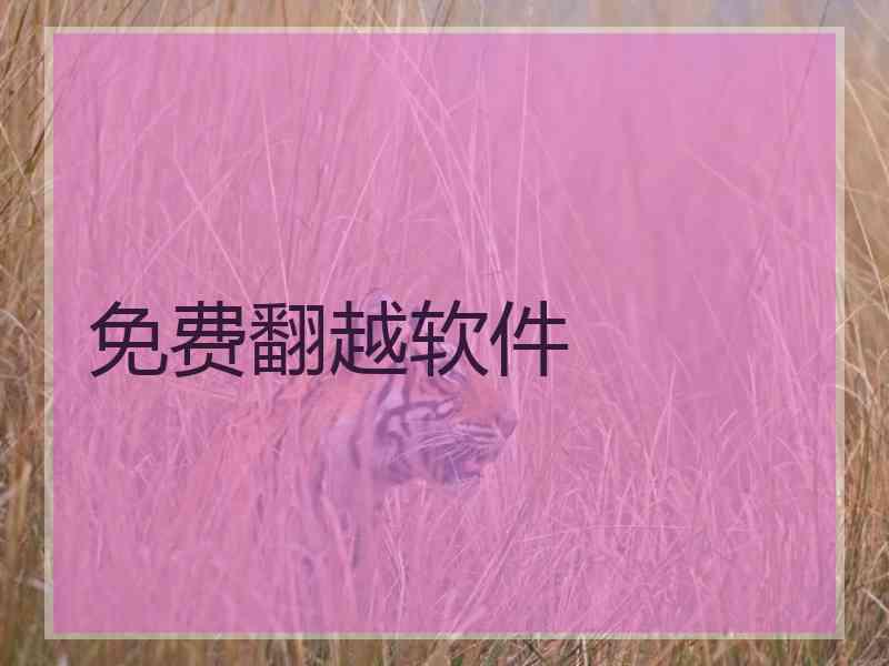 免费翻越软件