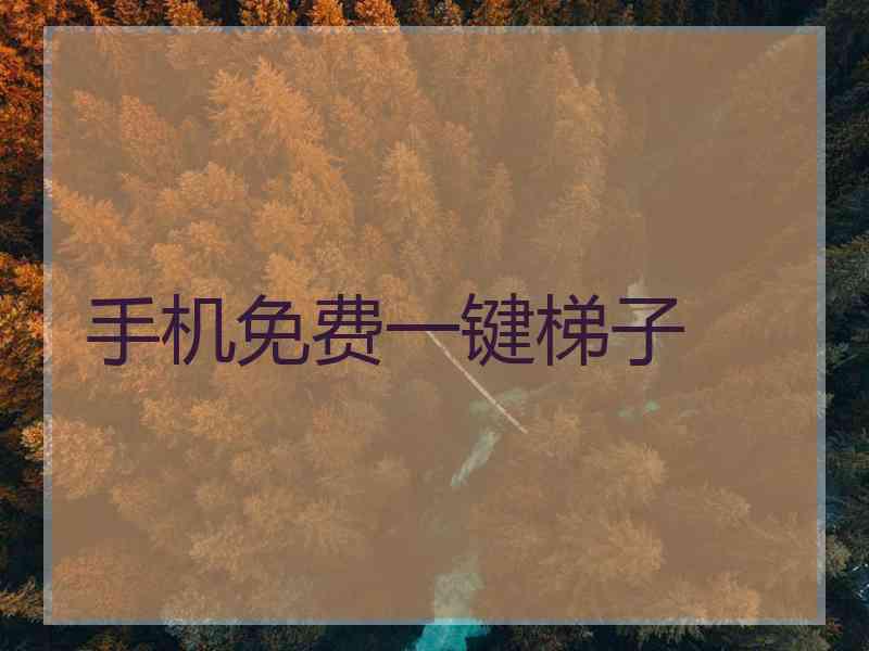手机免费一键梯子