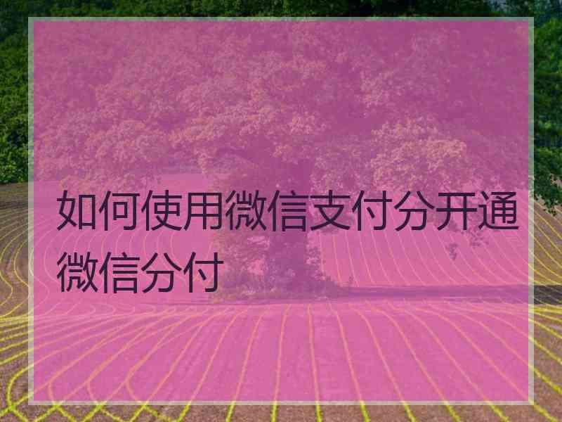 如何使用微信支付分开通微信分付