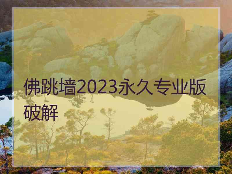 佛跳墙2023永久专业版破解