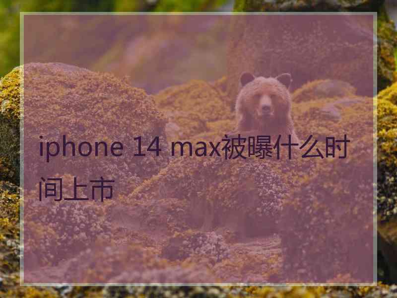 iphone 14 max被曝什么时间上市
