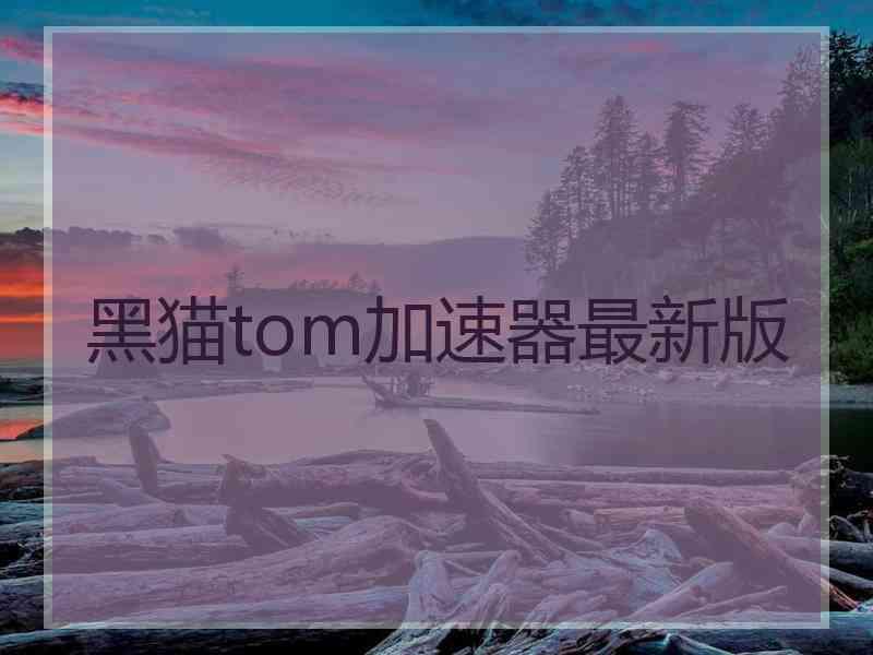 黑猫tom加速器最新版