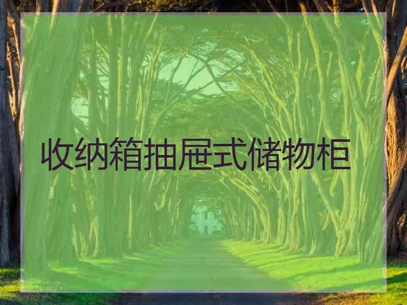 收纳箱抽屉式储物柜
