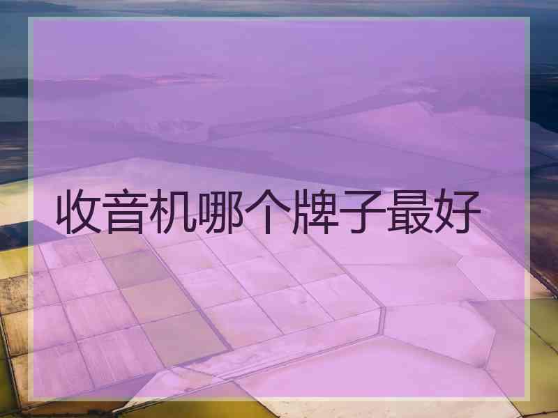 收音机哪个牌子最好