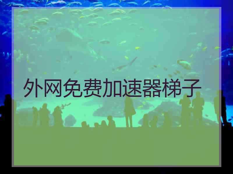 外网免费加速器梯子