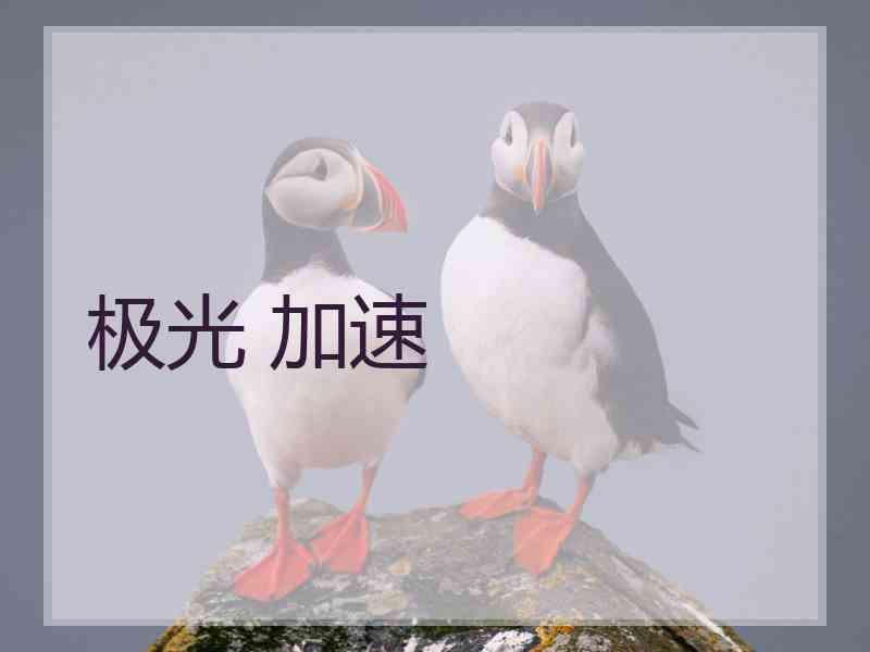 极光 加速