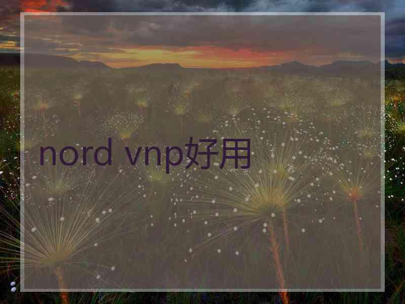 nord vnp好用