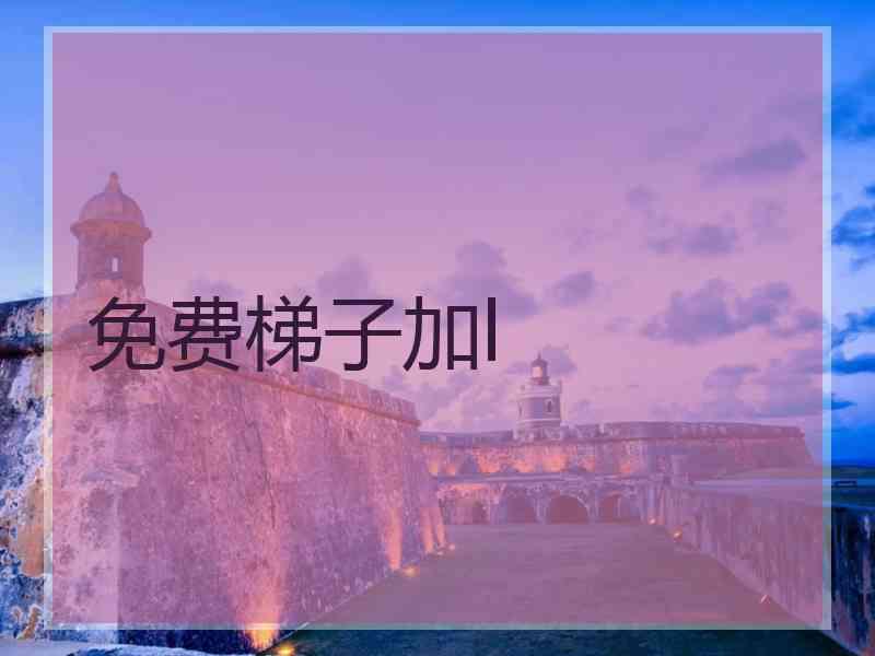 免费梯子加l