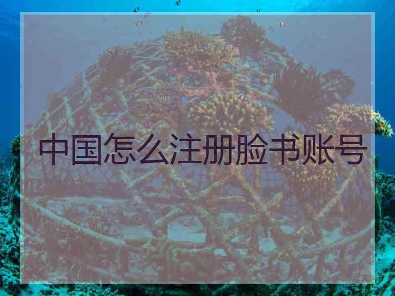 中国怎么注册脸书账号