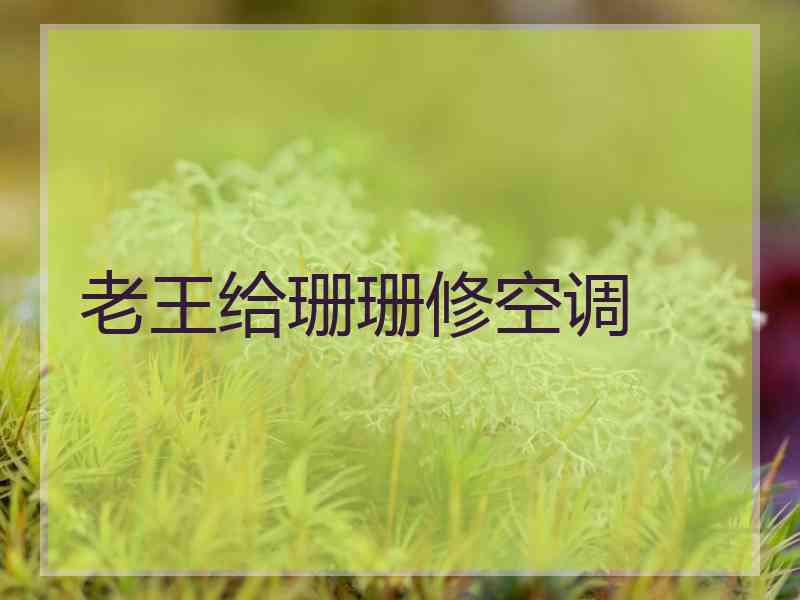 老王给珊珊修空调