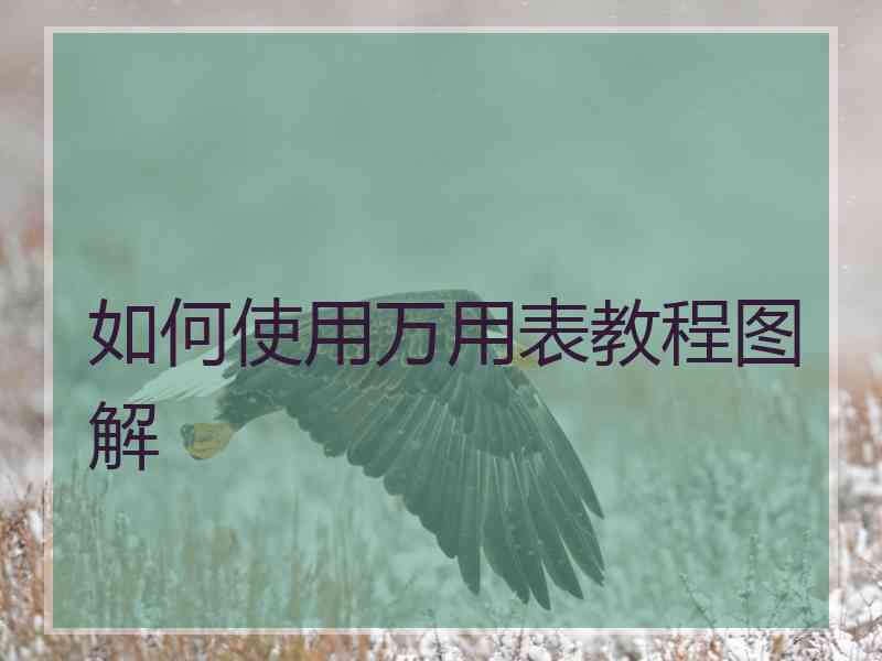 如何使用万用表教程图解
