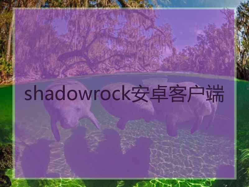 shadowrock安卓客户端