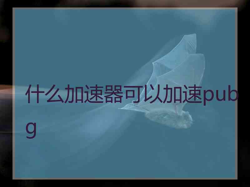 什么加速器可以加速pubg