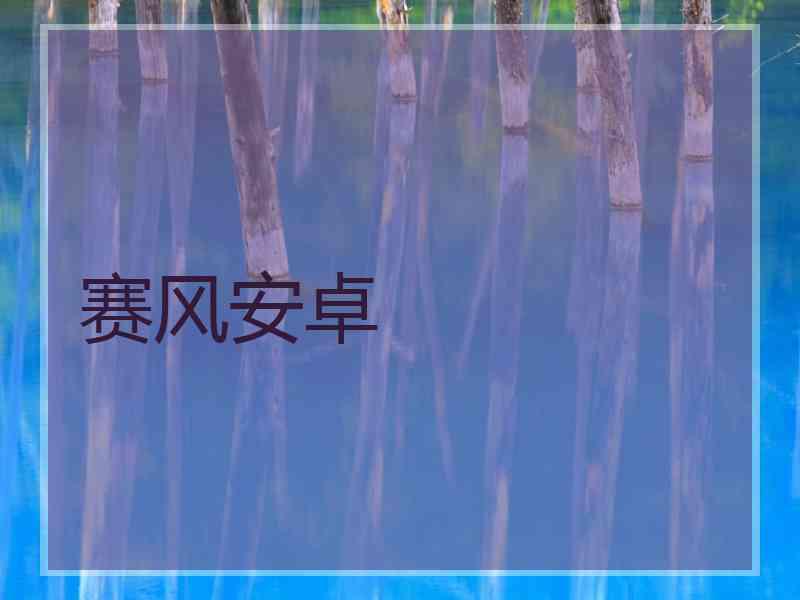 赛风安卓