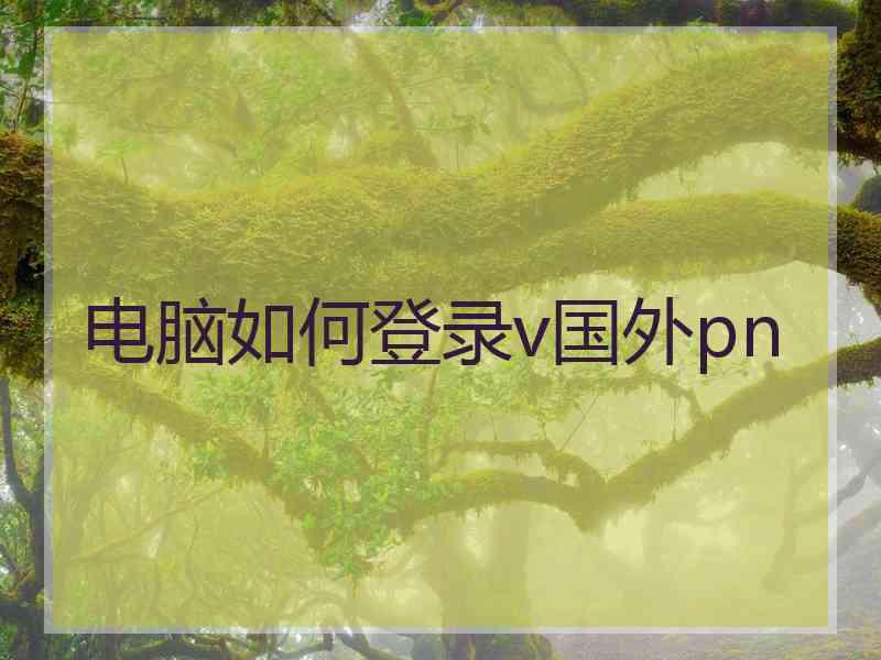 电脑如何登录v国外pn