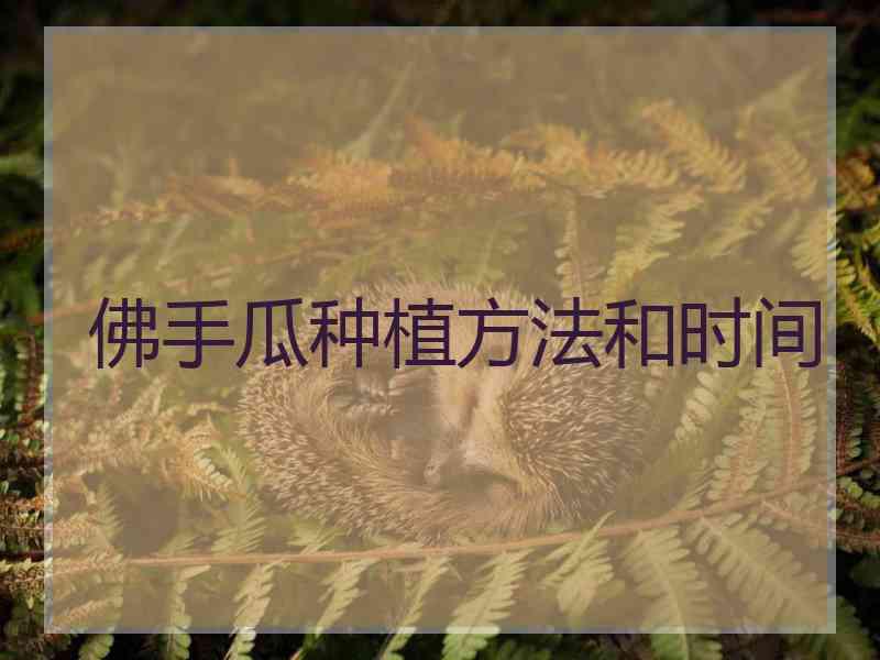 佛手瓜种植方法和时间