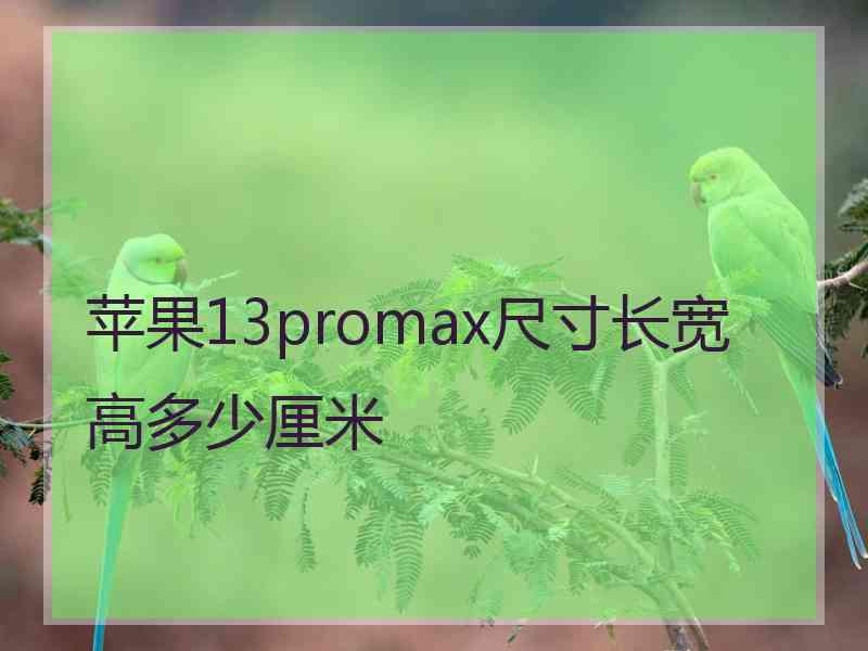 苹果13promax尺寸长宽高多少厘米