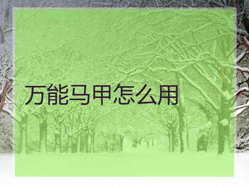 万能马甲怎么用