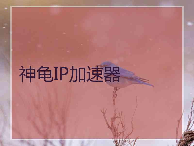 神龟IP加速器
