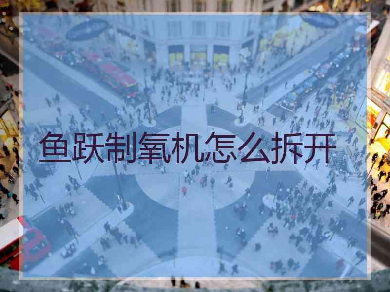 鱼跃制氧机怎么拆开