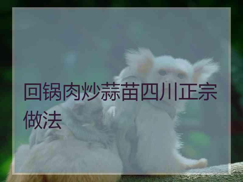 回锅肉炒蒜苗四川正宗做法