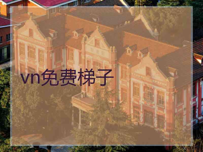 vn免费梯子