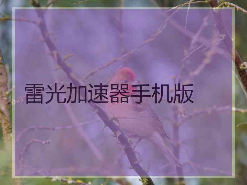 雷光加速器手机版