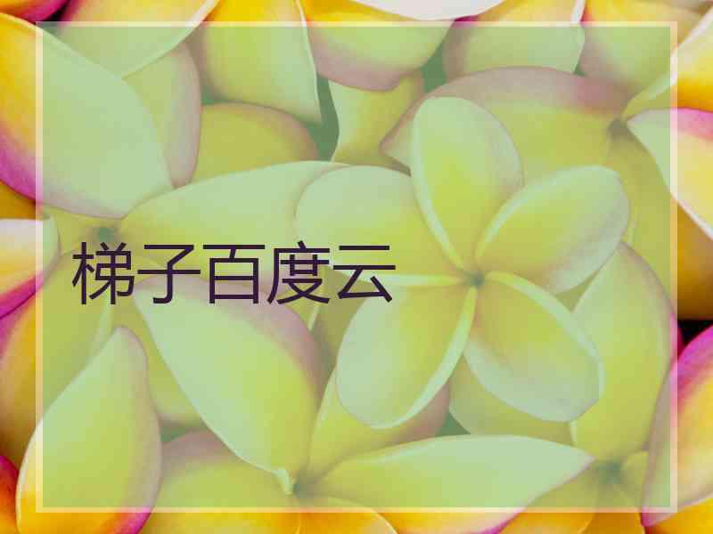 梯子百度云