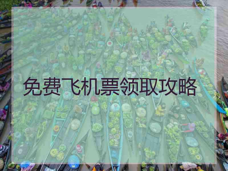 免费飞机票领取攻略