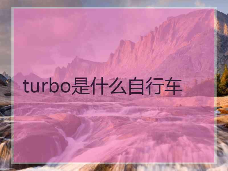 turbo是什么自行车