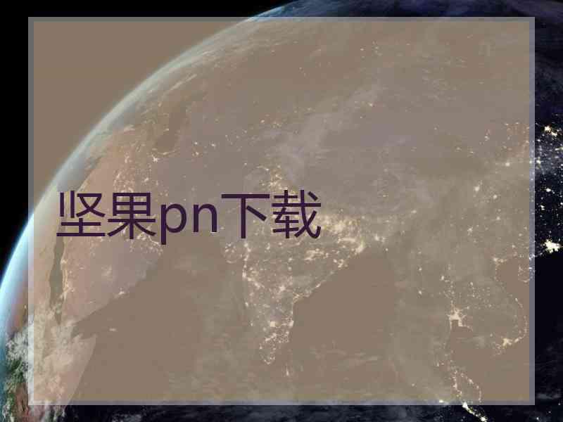 坚果pn下载