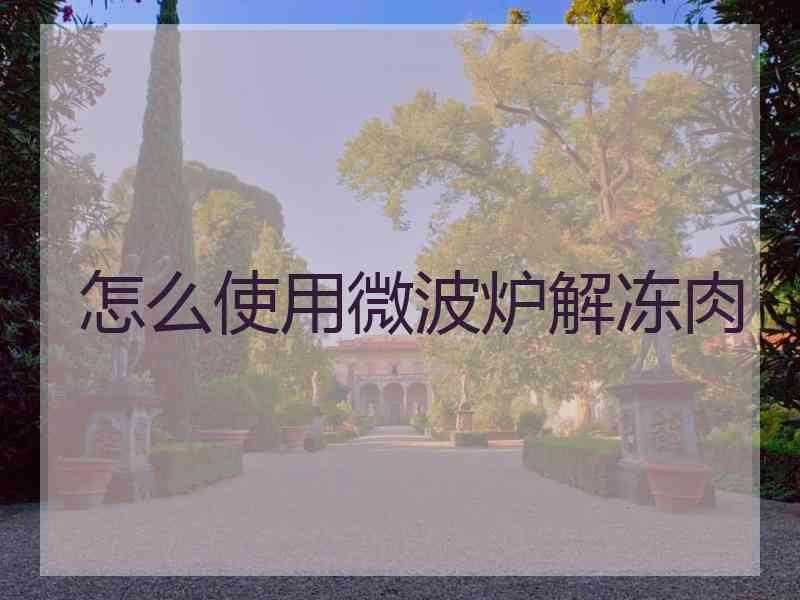 怎么使用微波炉解冻肉