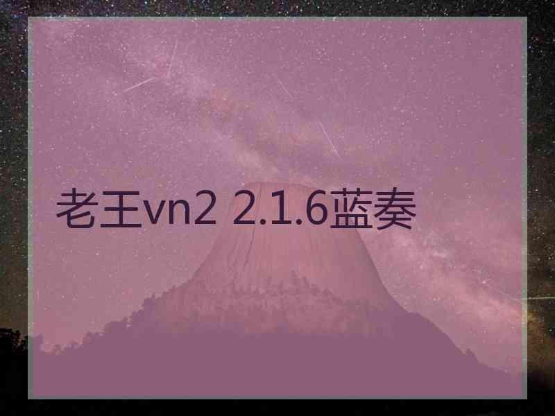 老王vn2 2.1.6蓝奏