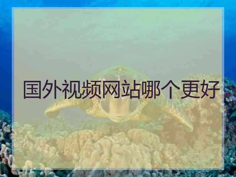 国外视频网站哪个更好