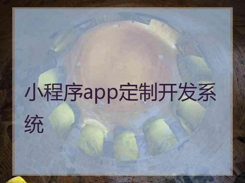 小程序app定制开发系统
